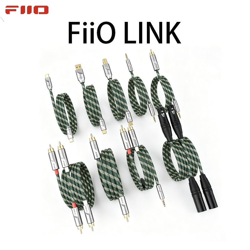 Audio Music Link - 2026 FiiO LINK Series Type C