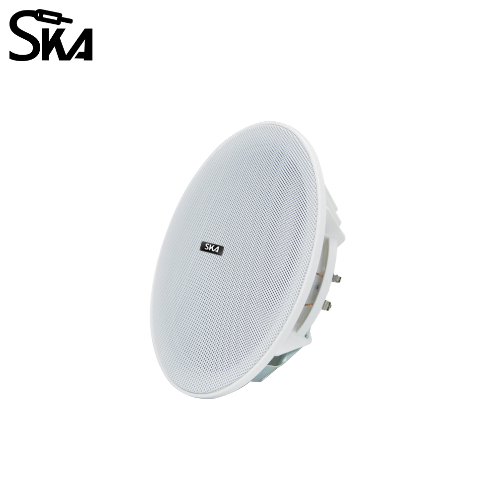 6.5-inch 20W， 8ΩDual cone spea - огляд і ціна Audio Music Store