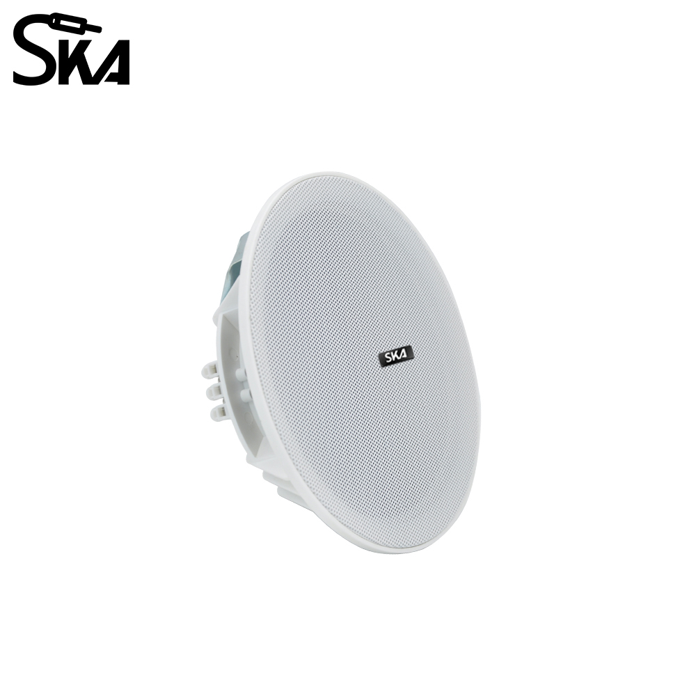 6.5-inch 20W， 8ΩDual cone spea - огляд і ціна Audio Music Store