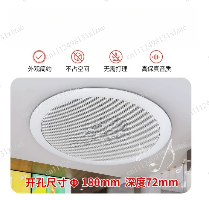TD202 ceiling speaker ceiling  - огляд і ціна Audio Music Store