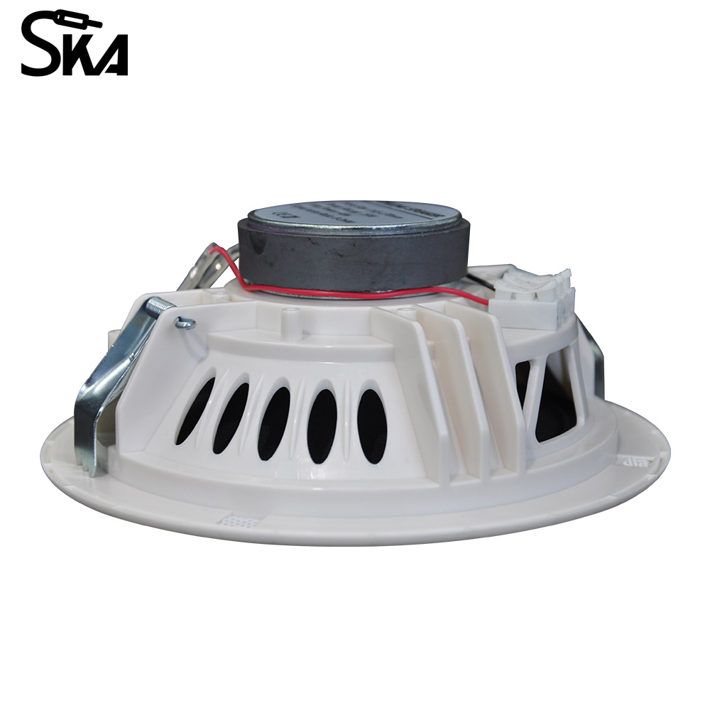 6.5-inch 12W 8Ω Dual cone spea - огляд і ціна Audio Music Store